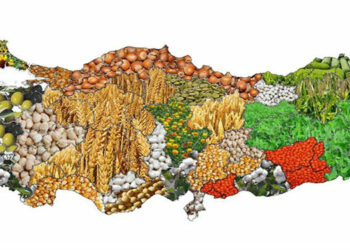 Tarımda üretici fiyat artışı yüzde 63 oldu