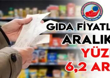 Gıda fiyatları aralıkta yüzde 6,2 arttı