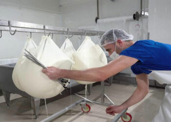 Peynir fiyatları son iki yılda 4 kat arttı