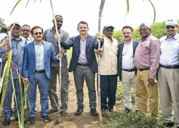 Sudan’da tarım rüyası kısa sürdü