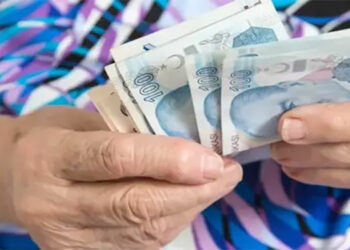 TÜED: Emeklilerin intibak sorunu çözülmeli