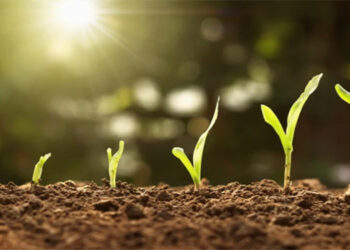 5 Aralık Dünya Toprak Günü