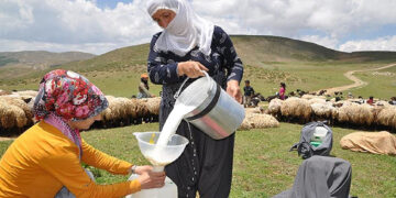 Ürettikleri süt burunlarından geldi