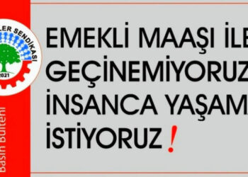 Emeklilere insanca yaşam için birleşik mücadeleyi yükselteceğiz