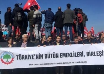 Emeklilerin birleşik mücadelesi ve sendikal birlik üzerine