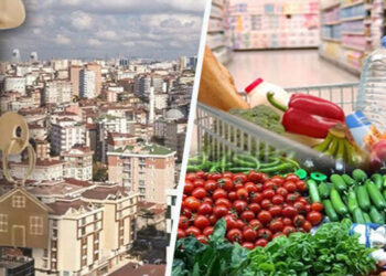 Yurttaşın temel dertleri: Gıda ve kira