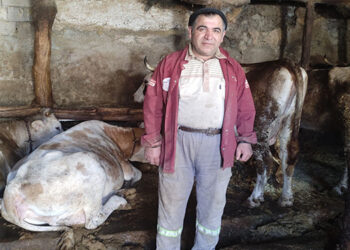 Yozgatlı besiciden emeklilere ucuz süt!