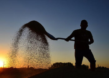 Üreticiden tüketiciye yüzde 634 fiyat farkı