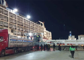 Et fiyatlarına 1 milyar dolarlık ithalat da çözüm olmadı!