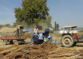 Bugün Dünya Çiftçiler Günü!