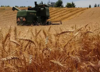 Ekmek teknesi ipotek altında