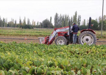 Çiftçiye şimdi de KDV darbesi