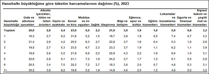 Vatandaş gelirini kira ve konuta harcıyor