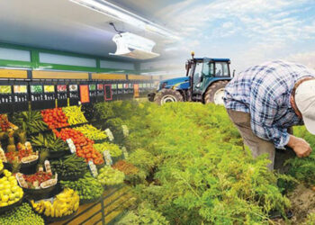 Haziran ayında üretici ile market fiyat farkı 4 katını buldu