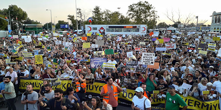 Hayvan hakları savunucuları Kadıköy'de eylem yaptı