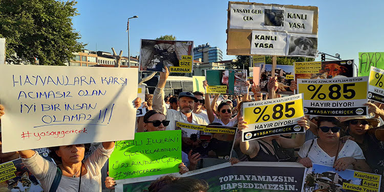 Hayvan hakları savunucuları Kadıköy'de eylem yaptı