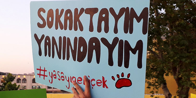 Hayvan hakları savunucuları Kadıköy'de eylem yaptı