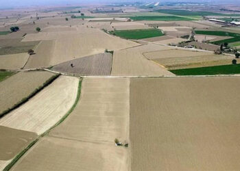 Ekilmeyen tarım arazilerini emlakçılar kiraya verebilecek