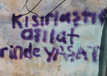 TVHB: “Sahipsiz hayvanların sahibi devlettir”