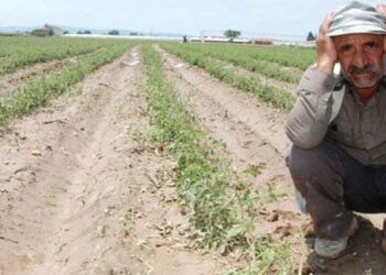 İcralık toprakların büyüklüğü bir çok ülkeyi geçti