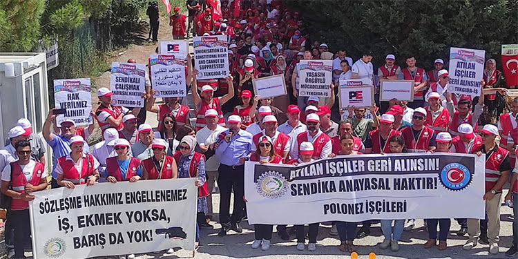 Polonez işçileri: “Dayanışmayı kıramayacaklar”