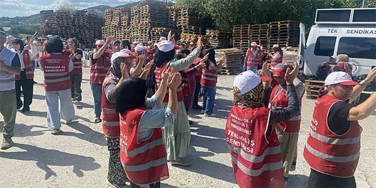 Polonez işçileri: “Dayanışmayı kıramayacaklar”