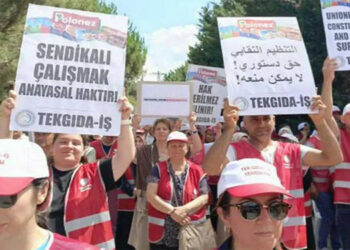 Polonez işverenine sendikal faaliyeti engelleme cezası