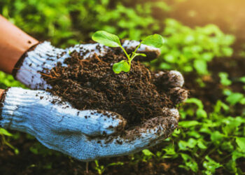 Tarım cennetinde cehennem yaşanıyor
