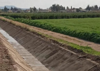 Çukurova’da su bitti, çiftçiye “ekmeyin” mesajı gönderildi