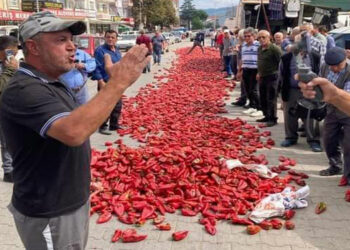 Yenice çiftçileri isyan etti