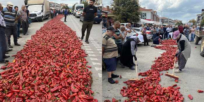 Yenice çiftçileri isyan etti