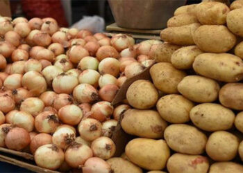 TZOB: Patates ve kuru soğana devlet müdahale etmeli
