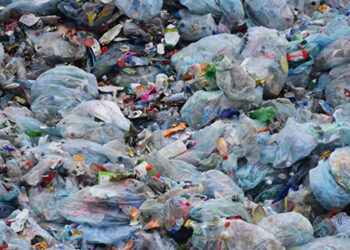 Plastik poşete zam: 25 kuruşla korunamayan çevre 50 kuruşla korunur mu?