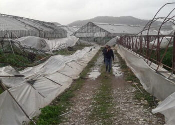 Çiftçi zor durumda: Elektrik-mazot-gübre fiyatları, don felaketi