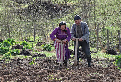 14 Mayıs Çiftçiler Günü; Çiftçi yarınını göremiyor