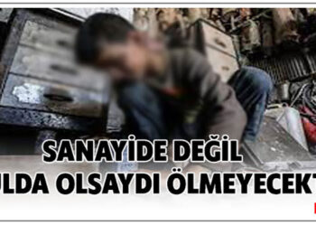 Eğitim-İş’ten, MEB’e MESEM tepkisi