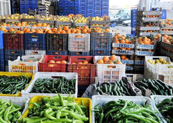 TZD: “Fiyatların düşmesi için üreticinin desteklenmesi gerekli. Tarlada ürün yok, ağaçta meyve yok”