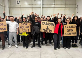 İş cinayetleri normalimiz olmasın: Yüksekten düşmeler, aşırı-yoğun-fazla çalışmaya bağlı ölümler, Kırım Kongo Kanamalı Ateşi…