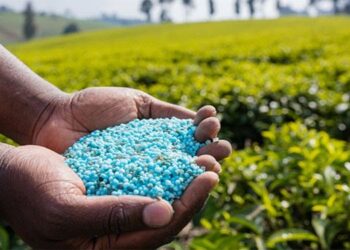 TZOB: Gübre fiyatları bir yılda %99,4 arttı