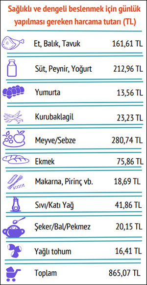 Asgari ücret sadece gıdaya bile yetmiyor