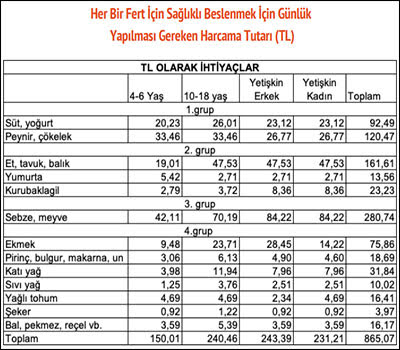 Asgari ücret sadece gıdaya bile yetmiyor