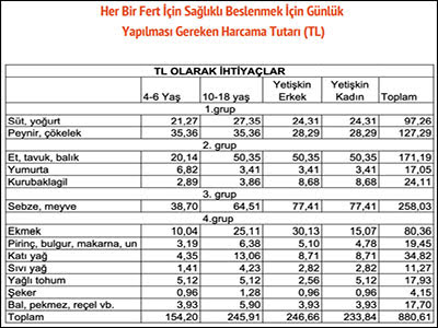 BİSAM: Asgari ücret sadece gıda için bile yetmiyor