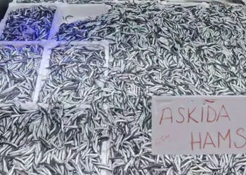 Askıda ekmek, askıda fatura, şimdi de “Askıda hamsi”