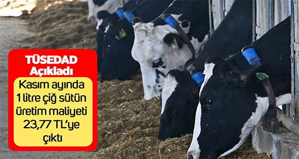 TÜSEDAD: Kasım ayında 1 litre çiğ sütün üretim maliyeti 23,77 TL’ye çıktı