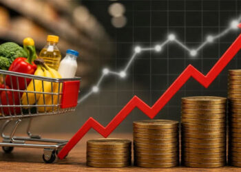 KAMU-İŞ: “TÜİK Harikalar Diyarı’nda”